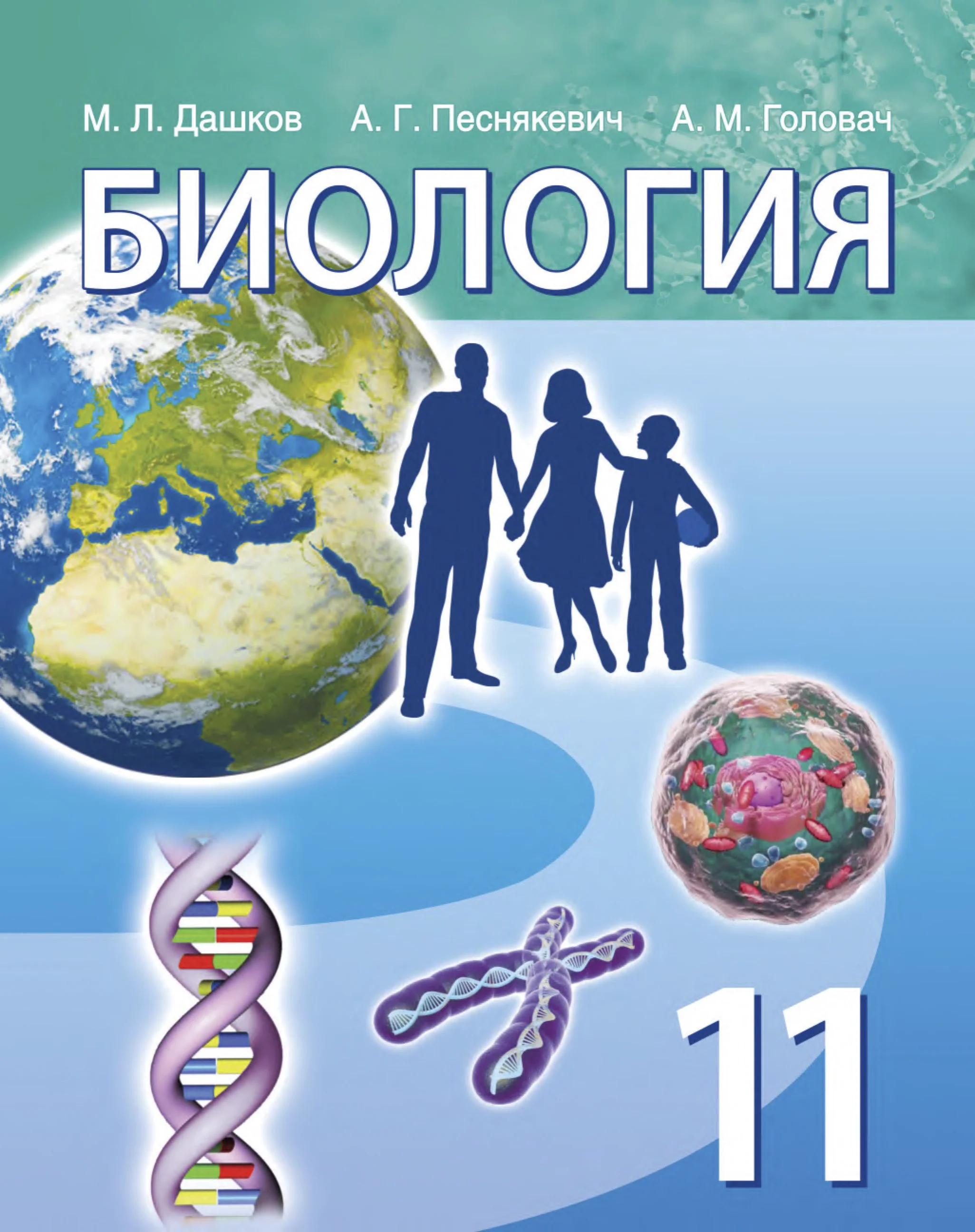 Биология, 11 класс Учебник, авторы: Дашков Максим Леонидович, Песнякевич Александр Георгиевич, Головач Алексей Михайлович, издательство Народная асвета, Минск, 2021, голубого цвета